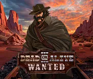 Dead or Alive 3: Wanted